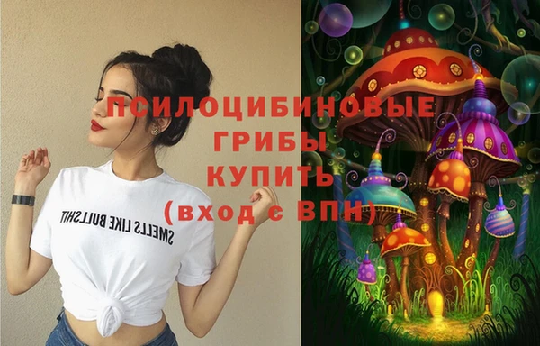 MESCALINE Няндома