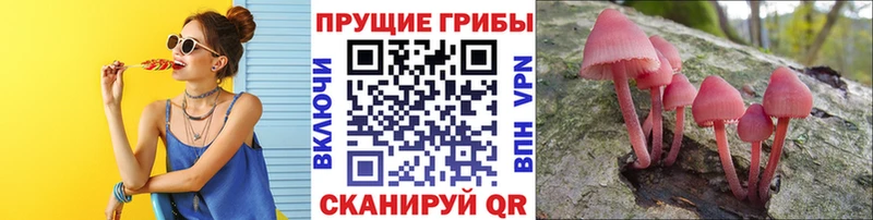 Псилоцибиновые грибы Magic Shrooms  Сегежа 