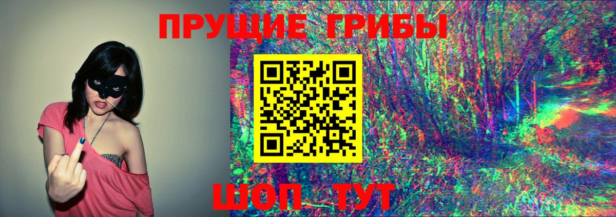 Галлюциногенные грибы Сегежа